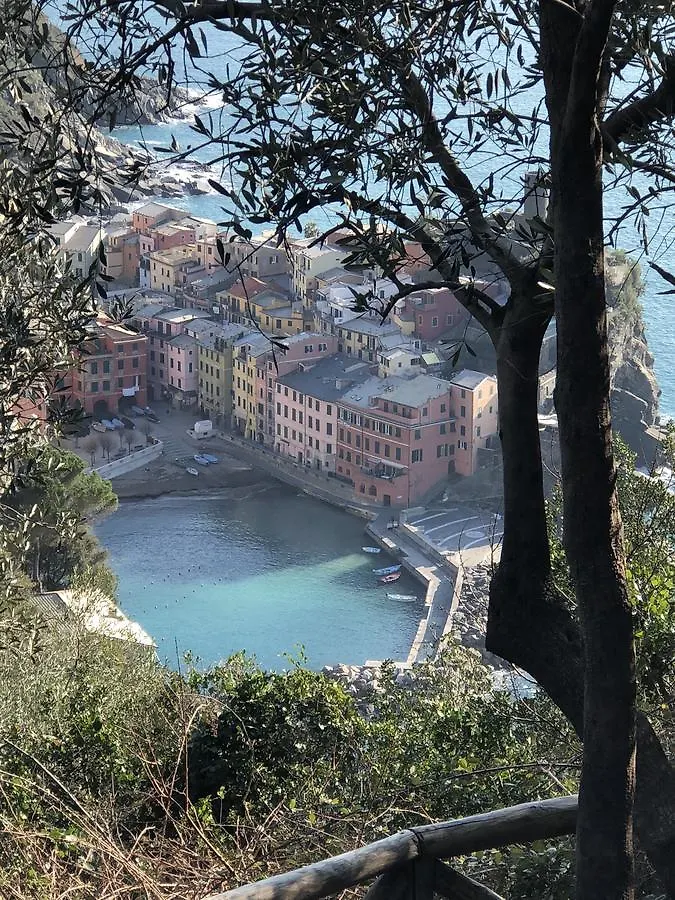 Guest house Zia Letizia Bed And Wine Hotel Monterosso al Mare
