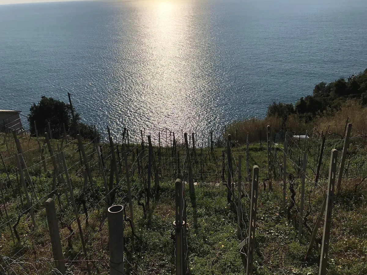 ** Guest house Zia Letizia Bed And Wine Hotel Monterosso al Mare Italy