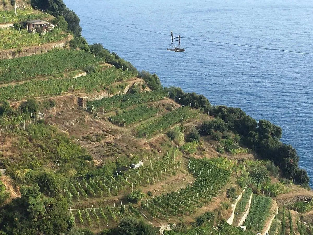 Hotel Zia Letizia Bed And Wine Monterosso al Mare Italia